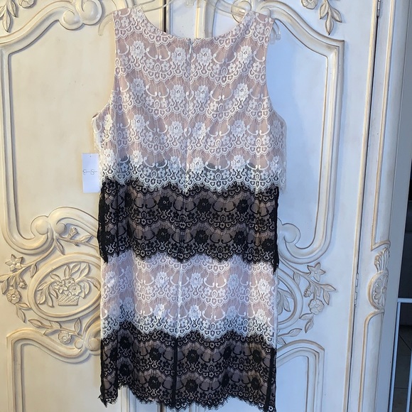 Jessica Simpson multilayer lace dress. Tan lining. Size 10. - Picture 6 of 8